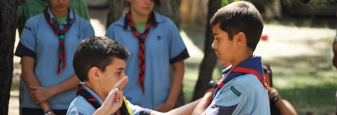 Scouts